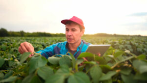 Argentina, a Hub for AgriFoodTech Startups